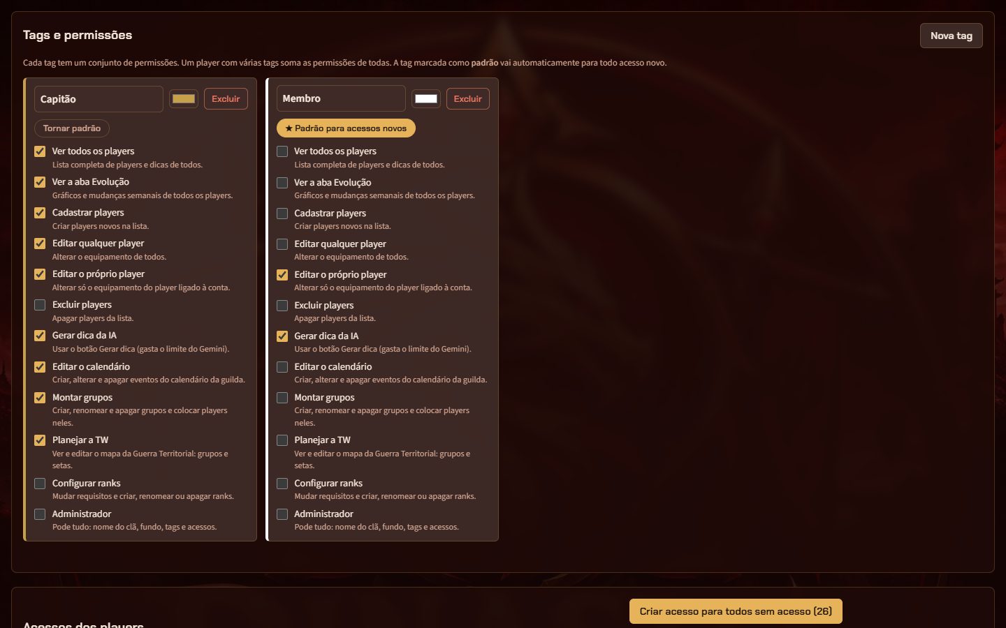 Tela de administração: tags com as permissões de cada uma e os acessos dos players